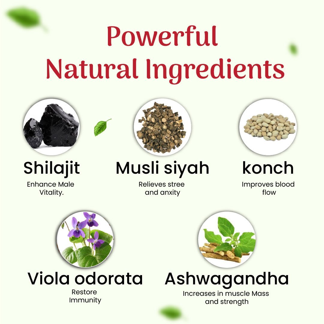 Hashmi Cock XXL Capsule | Ayurvedic long time sex capsule for man | Night Power - Image 4