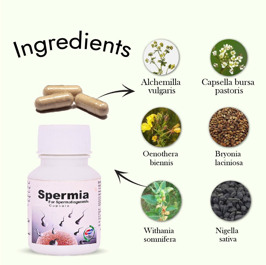 Hashmi Spermia Capsule for Sperm Count & Motility Support - Image 7